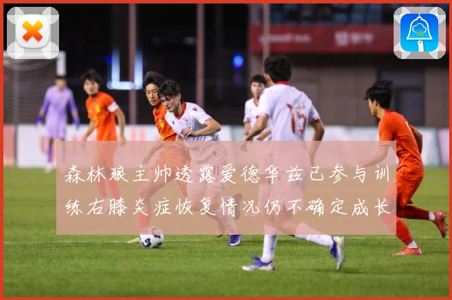 森林狼主帅透露爱德华兹已参与训练右膝炎症恢复情况仍不确定成长观察-深度解析