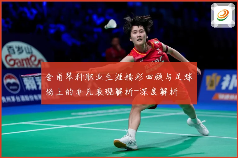 舍甫琴科职业生涯精彩回顾与足球场上的非凡表现解析-深度解析