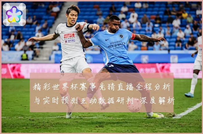 精彩世界杯赛事竞猜直播全程分析与实时预测互动数据研判-深度解析
