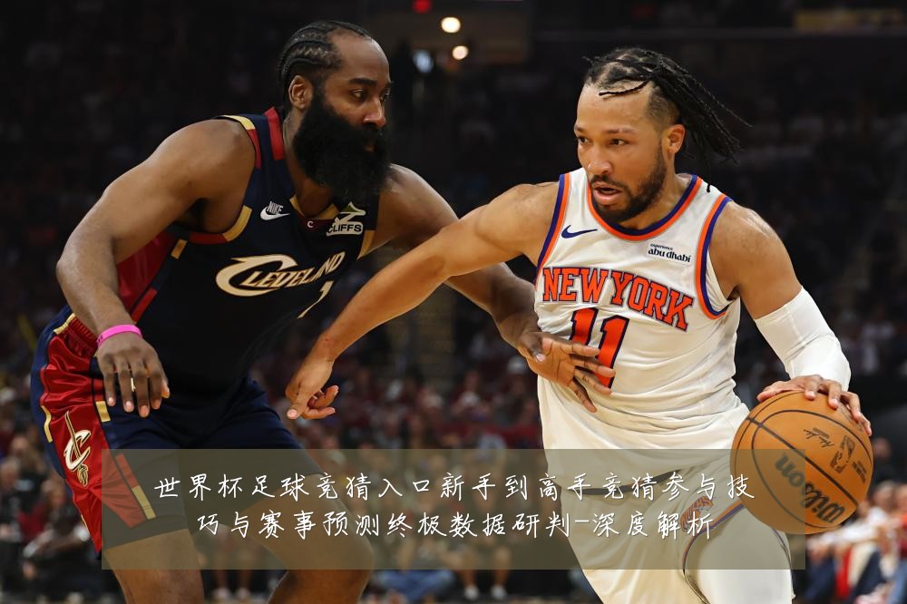世界杯足球竞猜入口新手到高手竞猜参与技巧与赛事预测终极数据研判-深度解析