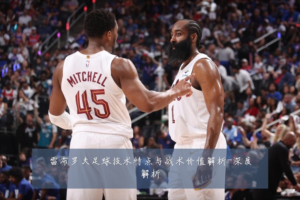 雷布罗夫足球技术特点与战术价值解析-深度解析