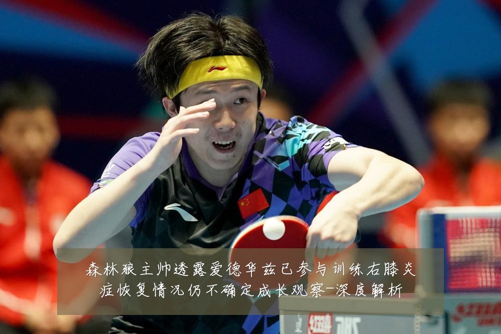 森林狼主帅透露爱德华兹已参与训练右膝炎症恢复情况仍不确定成长观察-深度解析