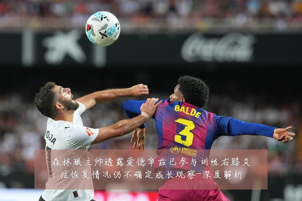 森林狼主帅透露爱德华兹已参与训练右膝炎症恢复情况仍不确定成长观察-深度解析